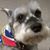 Tina LeMay's profile image