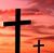 Judy Porsch's profile image