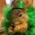 John Farley's profile image
