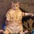 Brian Hunter's profile image