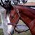 Robert Whitelaw's profile image