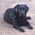 Stephanie Dangerfield's profile image