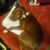 Melissa Clark Mcwhirter's profile image