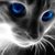 Joe Campbell's profile image