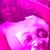 Isabella Raymonde''s profile image