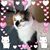 Diana DiChiara's profile image