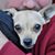 Scott Castillo-Milburn's profile image