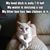 Debra Wegener's profile image