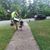 Dustin Ravelin's profile image