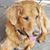 Lisa Marie Pasquale's profile image