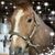 Tamra Sisk's profile image