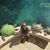 Jose A. Olvera's profile image