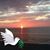Karin Specht's profile image