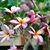 Cynda Staley Douglas's profile image