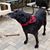 Pegge Gravely Rieger's profile image