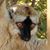Steve Oruni's profile image