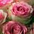 Gloria Marquez's profile image