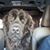 Glenna S Hendren's profile image