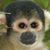 Justin Gooding's profile image