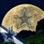 Tracy Mikesell's profile image