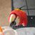 Deanna Owens Rohn's profile image