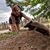 Amy Forslin Sawyer's profile image