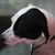 Cynthia Levers-brower's profile image