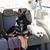 Sandra Sibbitt-Gerdes's profile image