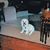Carole L Portis's profile image