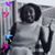 Deanna Bellamy Williams's profile image
