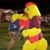 Michael Humphreys's profile image