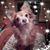 Tina Marie's profile image