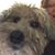 Karen Nadeau's profile image