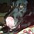 Rebecca L. Knode's profile image