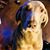 Blanca Teran's profile image