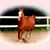 Judith Batlle Farrell's profile image