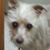 Mary Kay Robertson's profile image