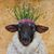 Reggie Kramer-Dunne's profile image