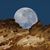 Giorgio Campoverde Coronel's profile image
