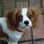 Martha Thompson Dragelevich's profile image