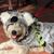 Dale Allison Roop's profile image