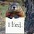 Tammy Prescott's profile image