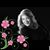 Lizy Musses's profile image