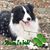 Eileen Bouchard's profile image