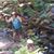 Heather Parsley's profile image
