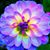 Rive Lee's profile image