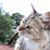 Rufina Del Sol's profile image
