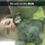 Destiny Dawn Sturgill's profile image