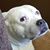 Karen Kratosky Spidle's profile image