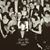 Jacobo Ramone Garrigus's profile image
